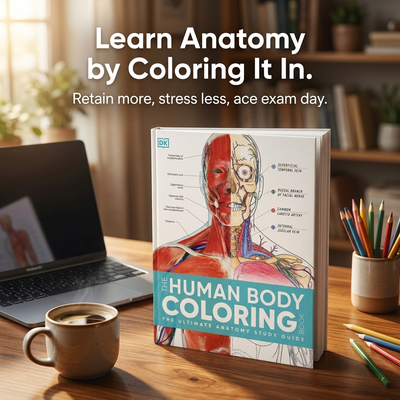 Learn anatomy by coloring it in