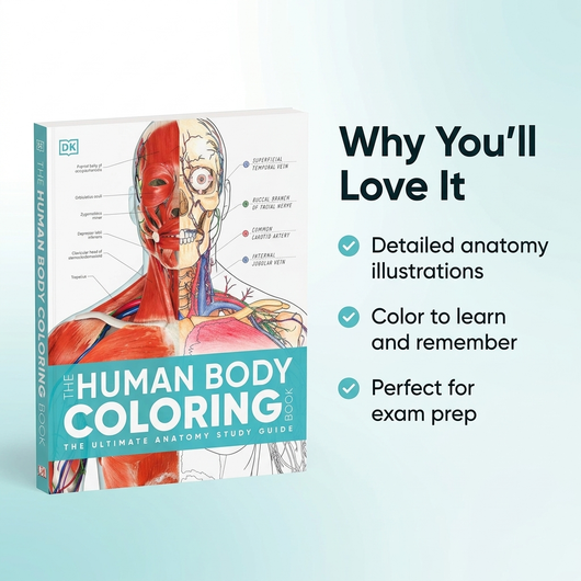 Why you'll love it